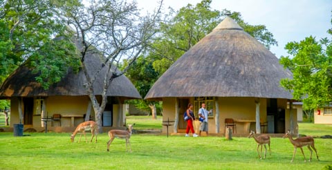 Skukuza Kruger National Park